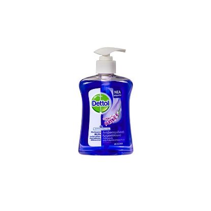 Εικόνα της DETTOL LIQUID SOAP SOFT ON SKIN SOOTHE 250ML  Dettol Αντιβακτηριδιακό Κρεμουσάπουνο Λεβάντα & Εκχυλίσματα Σταφυλιού 250ml