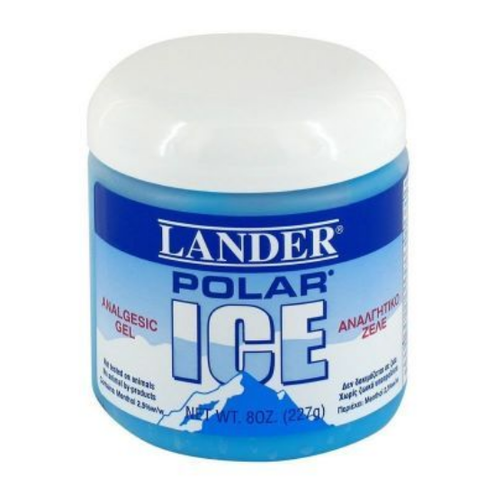 Εικόνα της LANDER POLAR ICE ANALGESIC GEL 75GR