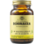 Εικόνα της SOLGAR ECHINACEA 520MG 100TABS